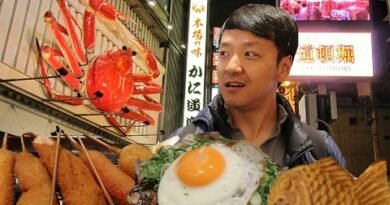 Osaka Japan Street Food Tour! Dotonbori Food Guide