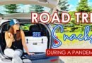 ROAD TRIP SNACKS, BREAKFAST & LUNCH IDEAS | Easy & Essential | Road tripping during a pandemic!!