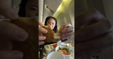 everything I ate on my plane ride to Korea!! #travel #food #whatieat #spicy