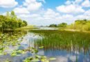 Where to Stay near Everglades National Park: Towns & Hotels
