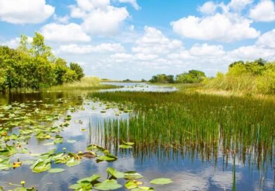 Where to Stay near Everglades National Park: Towns & Hotels