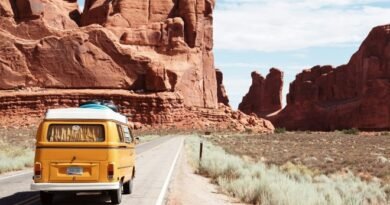 International Road Trips for Adventure Seekers: From NZ’s South Island to the US Southwest