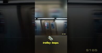 Maximize Your Miami Adventure on a $1,000 Budget! #budgettravel #miami #travel #1k #adventuretravel