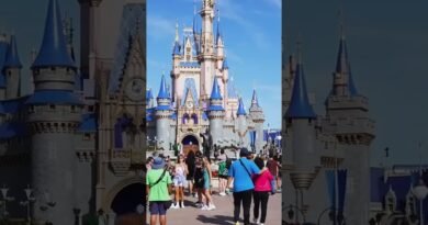 Explore Orlando on a Budget  $1 000 Itinerary! #travel #luxurytravel #budgettravel #orlando