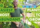 30 of the Easiest, Most Abundant Foods to Grow in Florida