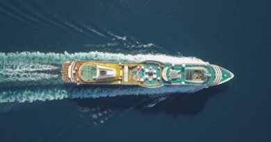 The six simple ways to avoid getting ill on cruise ships