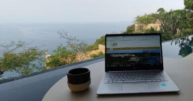 How to Work Remotely from Mexico Without Missing a Beat