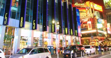 Dive into the pulse of NYC’s most epic destinations.