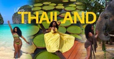 Thailand Travel Vlog | 7 Days in Phuket, Phi Phi Island, Elephant Sanctuary & Thai Food