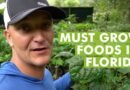 10 Top Plants for a Food Garden in Subtropical Climates- Florida Gardening