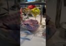 Dinner at Solarium Bistro on board Royal Caribbean Utopia of the Seas