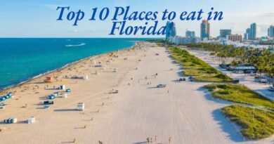Top 10 Must Try Food Spots in Florida!