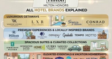 All of Hilton Honors Hotel Brands Explained