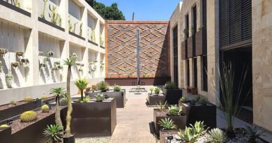 The Best Oaxaca Luxury Hotels
