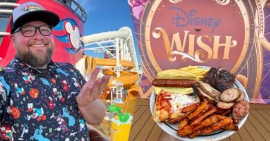 Disney Wish | My Full Cruise Voyage: Frozen Dinner, Hyperspace Lounge & AquaMouse | Disney Cruise