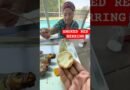 Grandma’s smoked Red Herrings recipe