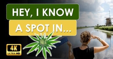 Cannabis in the Netherlands | 420 Travel Guides | 4K UHD