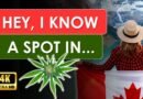 Cannabis in Canada | 420 Travel Guides | Pilot
