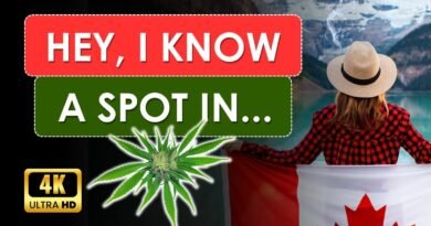 Cannabis in Canada | 420 Travel Guides | Pilot