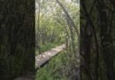 Preparing For 14.8Miles Hike #youtubeshorts   #shorts #outdoors  #backpacking