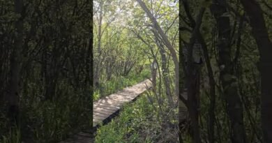 Preparing For 14.8Miles Hike #youtubeshorts   #shorts #outdoors  #backpacking