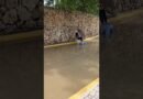 Why nobody warns travelers about Dominican Republic floods #traveltips #safety