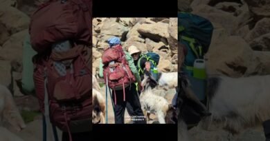 @Himalaya_Shelter  #mountains #travel #campping #trekking #adventuretravel #backpacking #hiking