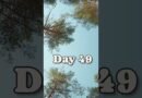 Day 49 of saving money and weight when backpacking