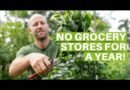 I Grew and Foraged 100% of My Food for an Entire Year!