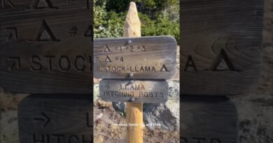 Campsite signs! Anyone else get a b*ner over these?  #adventure #camping #backpacking  #hiking