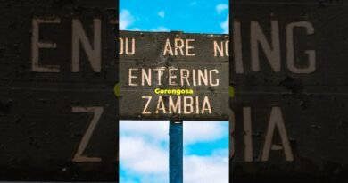 Top Travel Tips for Mozambique!