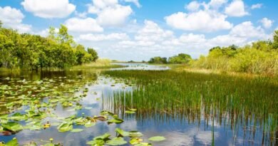 Where to Stay near Everglades National Park: Towns & Hotels
