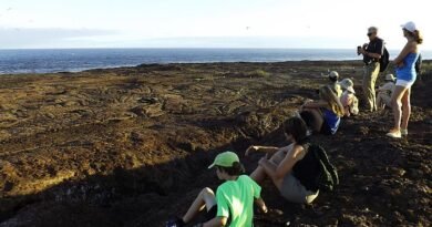 Custom Galapagos Luxury Tour Options