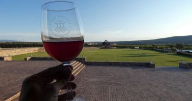 Mexico Wineries in Guanajuato State That Are Winning Awards
