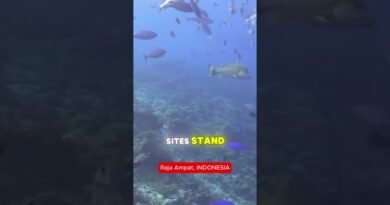 Raja Ampat Indonesia: Top Things to Do, Hidden Gems & Travel Tips You Need to Know!