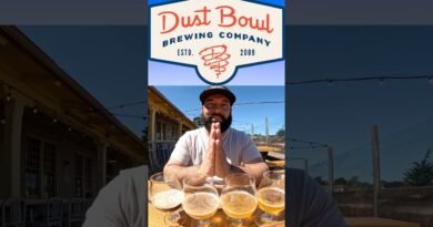 You’ve NEVER Had Beer Like This!! – TOP Beer Reviews of 2025 #shorts #beer #montereycalifornia