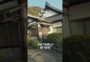 Tomonoura was the perfect city to solo travel