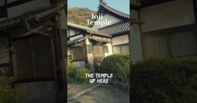 Tomonoura was the perfect city to solo travel