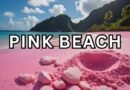 Pink Beach Travel Guide: Discover the World’s Most Magical Pink Sand Paradise
