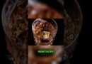 Kentucky  Unforgettable Travel Tips & Facts
