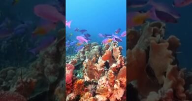 Luxury travel | Most beautiful places in the world | Exclusive vacations #shorts