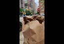 NYC Bagel Hunt: Did I Find the Best Breakfast?  #food #NYC #SimpleLifeStories #shorts
