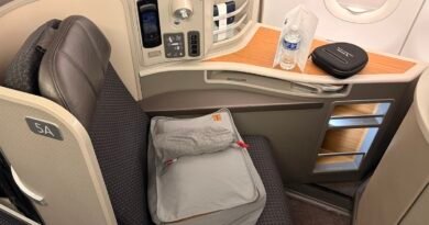 Review: American Airlines Flagship First Class (A321)