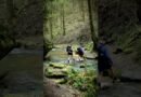 WATCH SILENT HIKING Mullerthal Trail | 6 days Backpacking Luxembourg | Route 1, 2 & 3 | 112 km