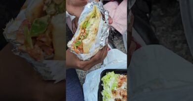 Chicken over Rice & Gyro Chicken – NY Street Food