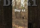 Day 41 of light backpacking tips