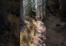 DON’T Hike Humphreys Trail in Arizona Without First Watching This! #experttips #hikingadventures