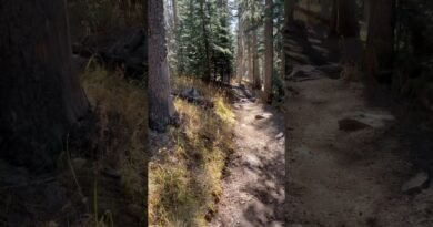 DON’T Hike Humphreys Trail in Arizona Without First Watching This! #experttips #hikingadventures