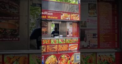 Indian Food On New York Street – NY