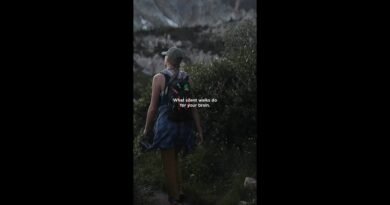 Silent Walks in Nature #shorts